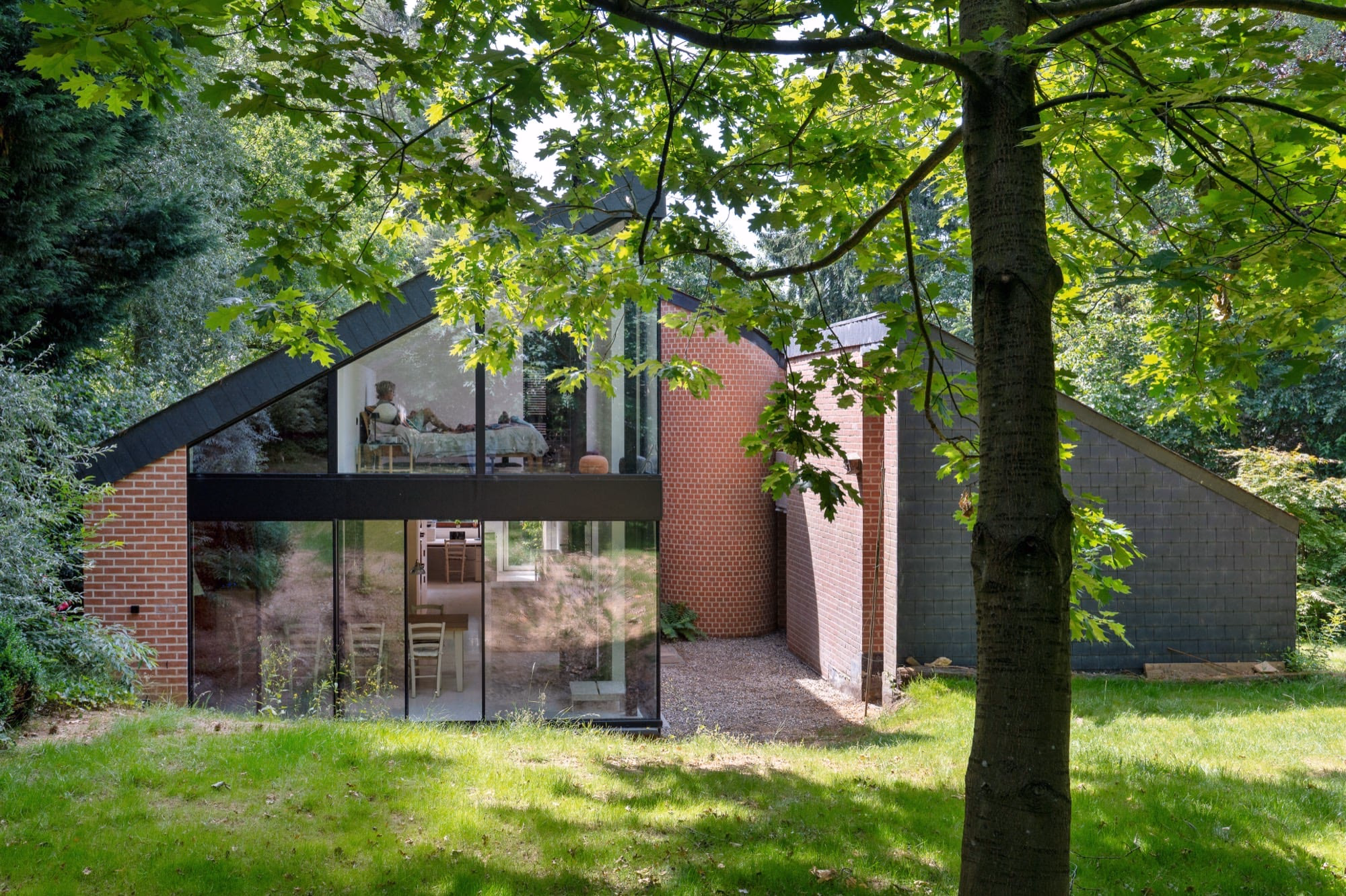 A house with large windows behind trees