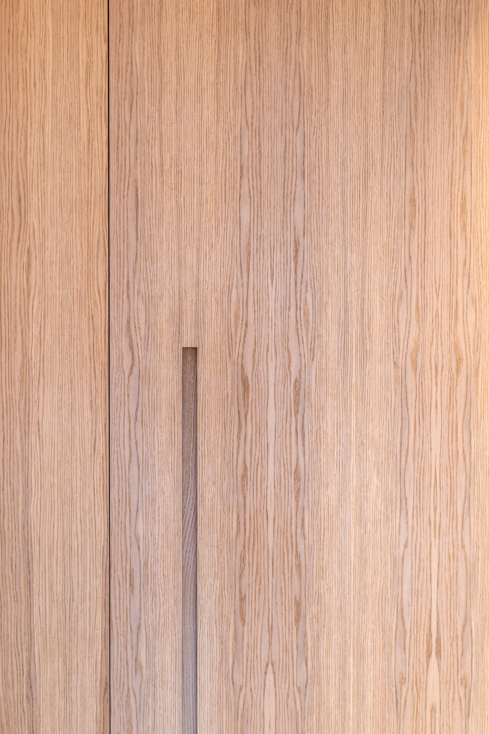 Detail of a wooden door and its handle