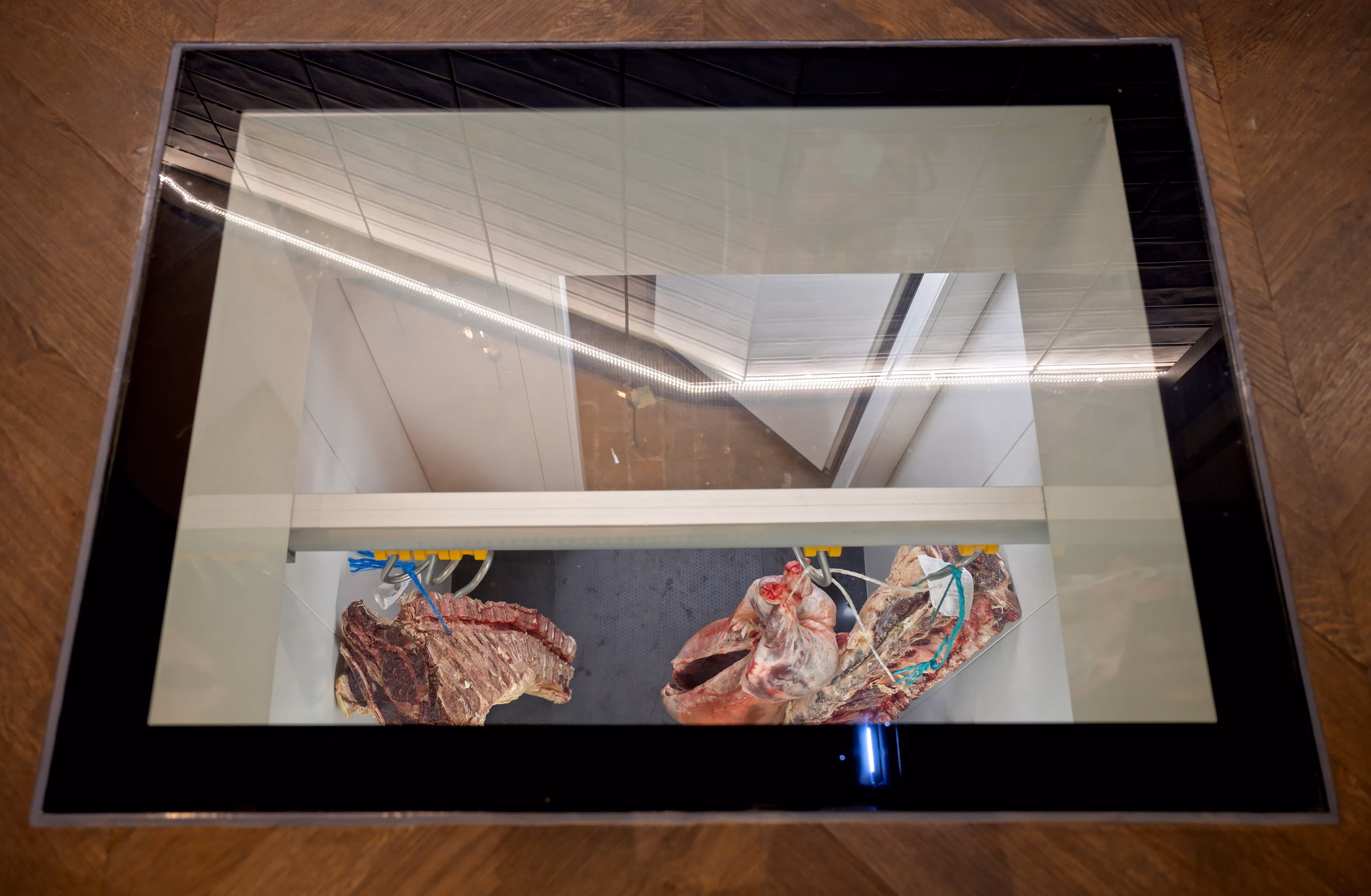 Two cuts of meat hanging in a glass case