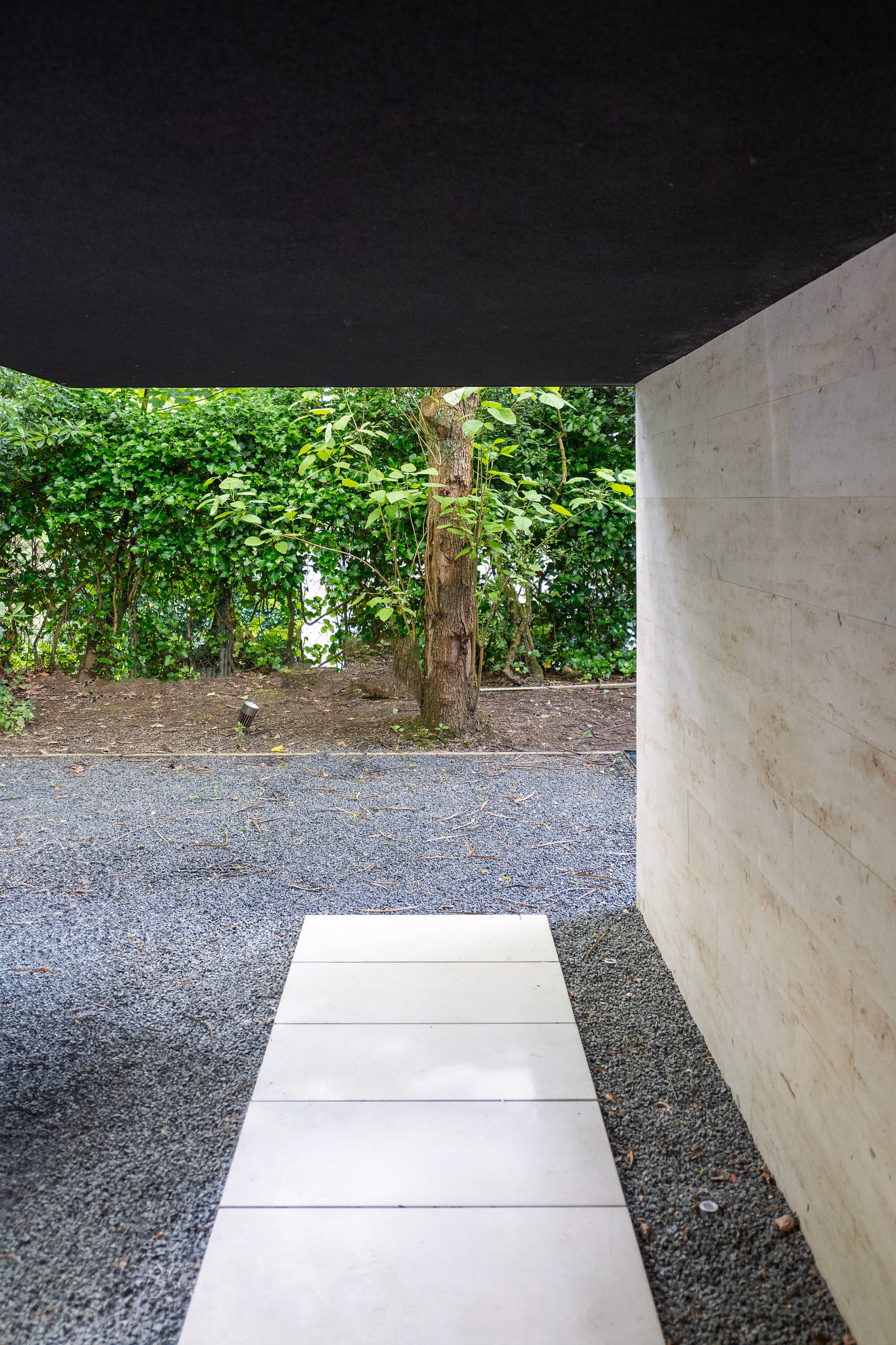 A gravel path with a tree beyond