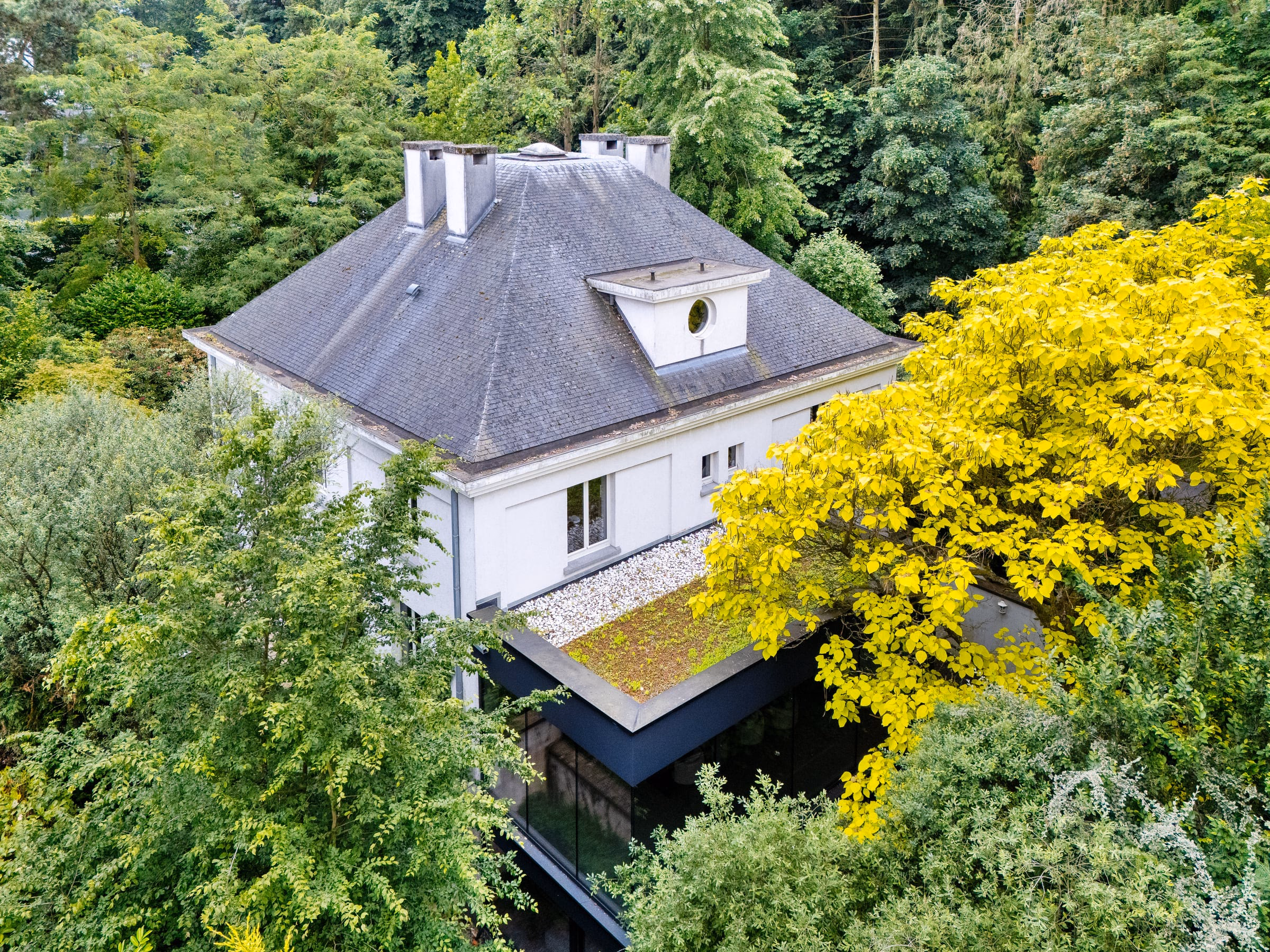 An aerial view of a house with a green roof among trees