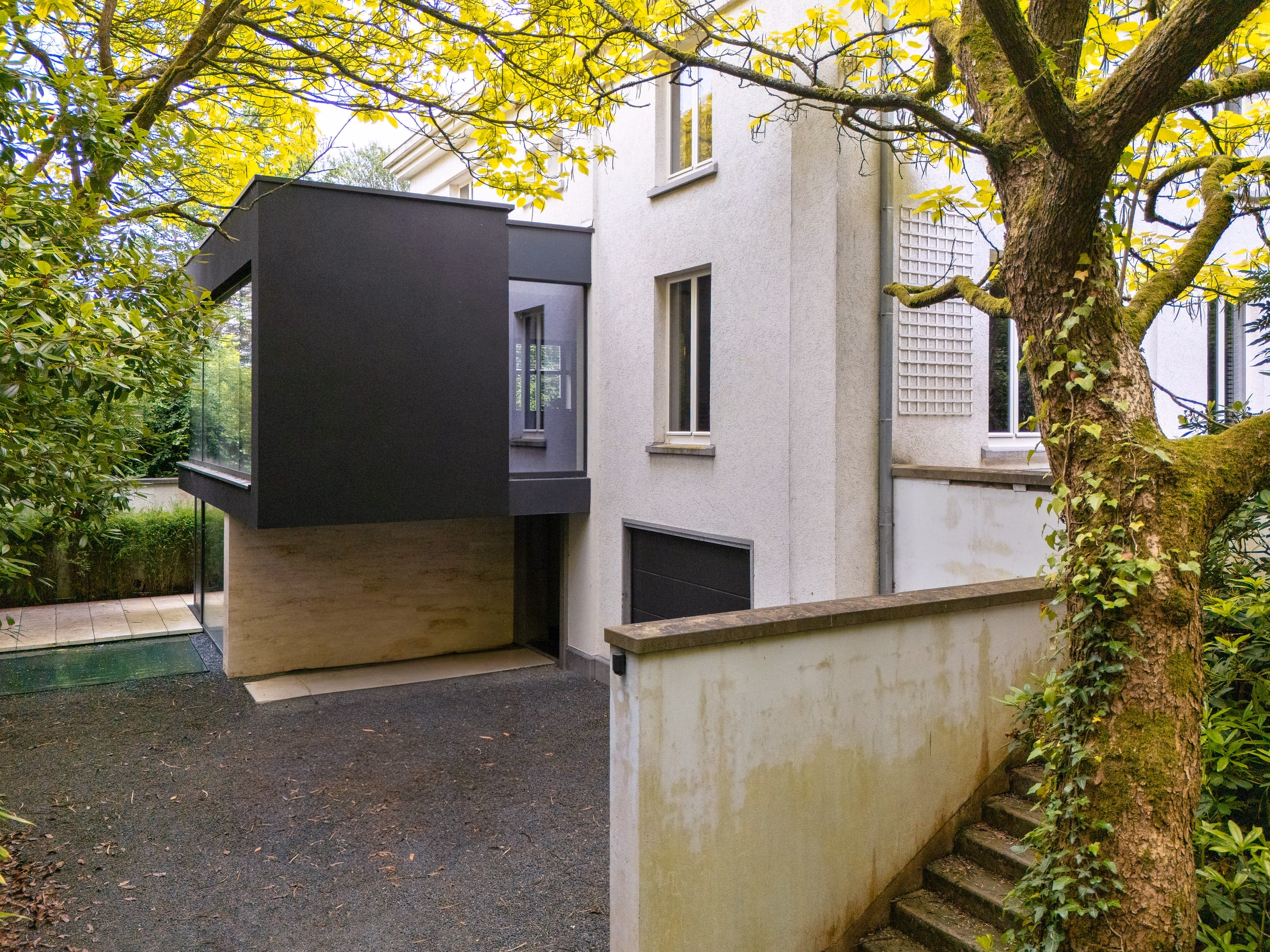 A house behind a tree, steps leading up to it